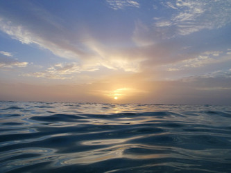 Similar image 850902