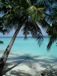 Similar image 850903