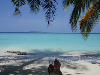 Similar image 850904