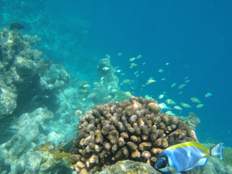 Similar image 850905