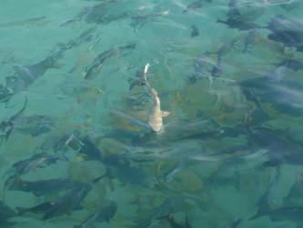 Similar image 850910