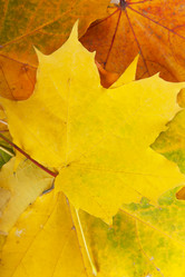 Similar image 850926