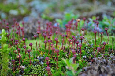 Similar image 850931