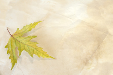 Similar image 851018