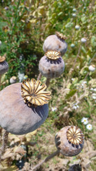 Similar image 851249