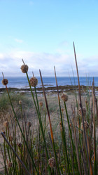 Similar image 851255