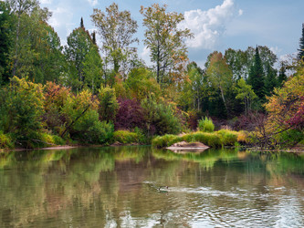 Similar image 851589