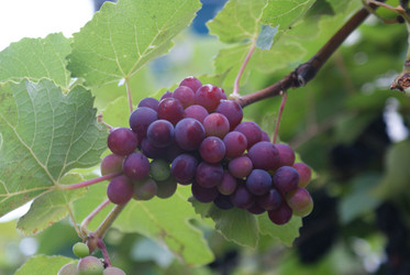 Similar image 851770