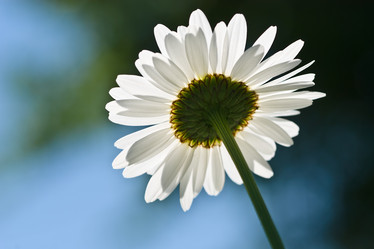 Similar image 851956