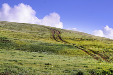 Similar image 852008