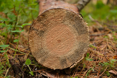 Similar image 852026