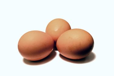 Similar image 852440