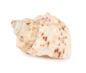 Similar image 852461