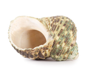 Similar image 852462