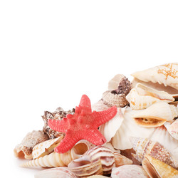 Similar image 852472