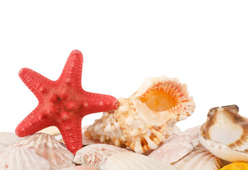 Similar image 852473