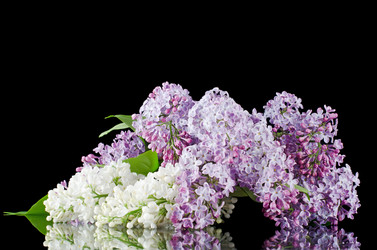 Similar image 852492