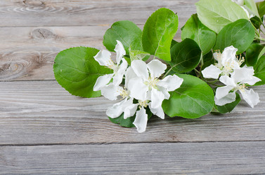 Similar image 852494