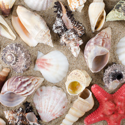 Similar image 852498