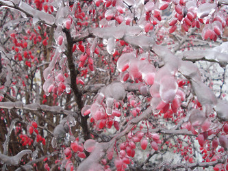 Similar image 852508