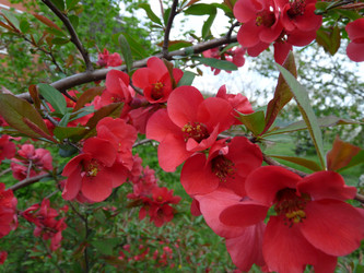 Similar image 852511