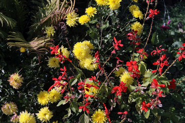 Similar image 852538