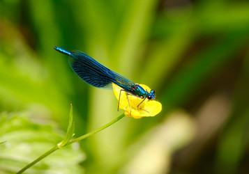 Similar image 852550