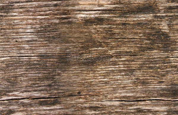 Фотография на тему Бесшовные текстуры. Доски старого дерева | PressFoto