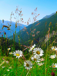 Similar image 852569