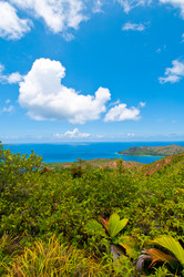 Similar image 852618