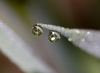 Similar image 852634