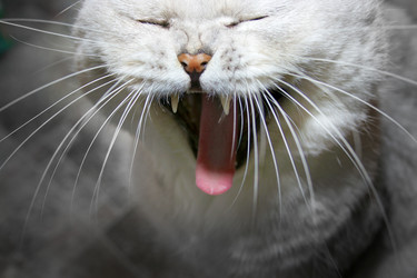 Similar image 852665