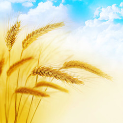 Similar image 852693