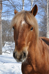 Similar image 852696