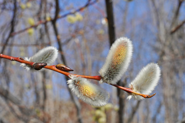 Similar image 852700