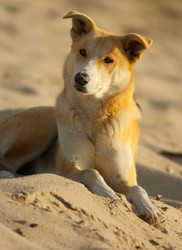 Similar image 852701