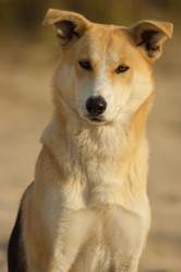 Similar image 852702