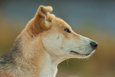 Similar image 852703