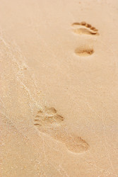 Similar image 852785