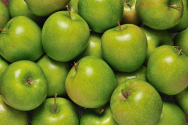 Similar image 852787