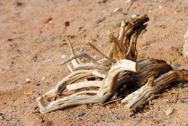 Similar image 852791