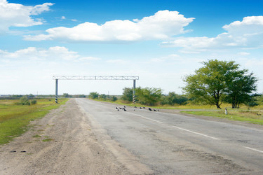 Similar image 852801