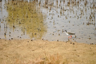 Similar image 852802