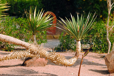 Similar image 852897