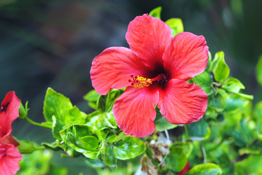 Similar image 852901