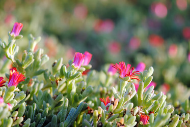 Similar image 852910