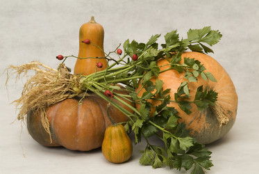 Similar image 852913