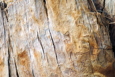 Similar image 852914