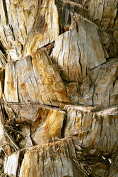 Similar image 852916