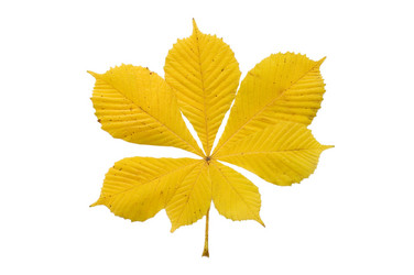 Similar image 852917